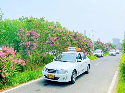 新學員做好這幾個步驟，逢考必過