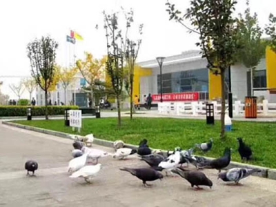 北京東方時(shí)尚駕校園區(qū)